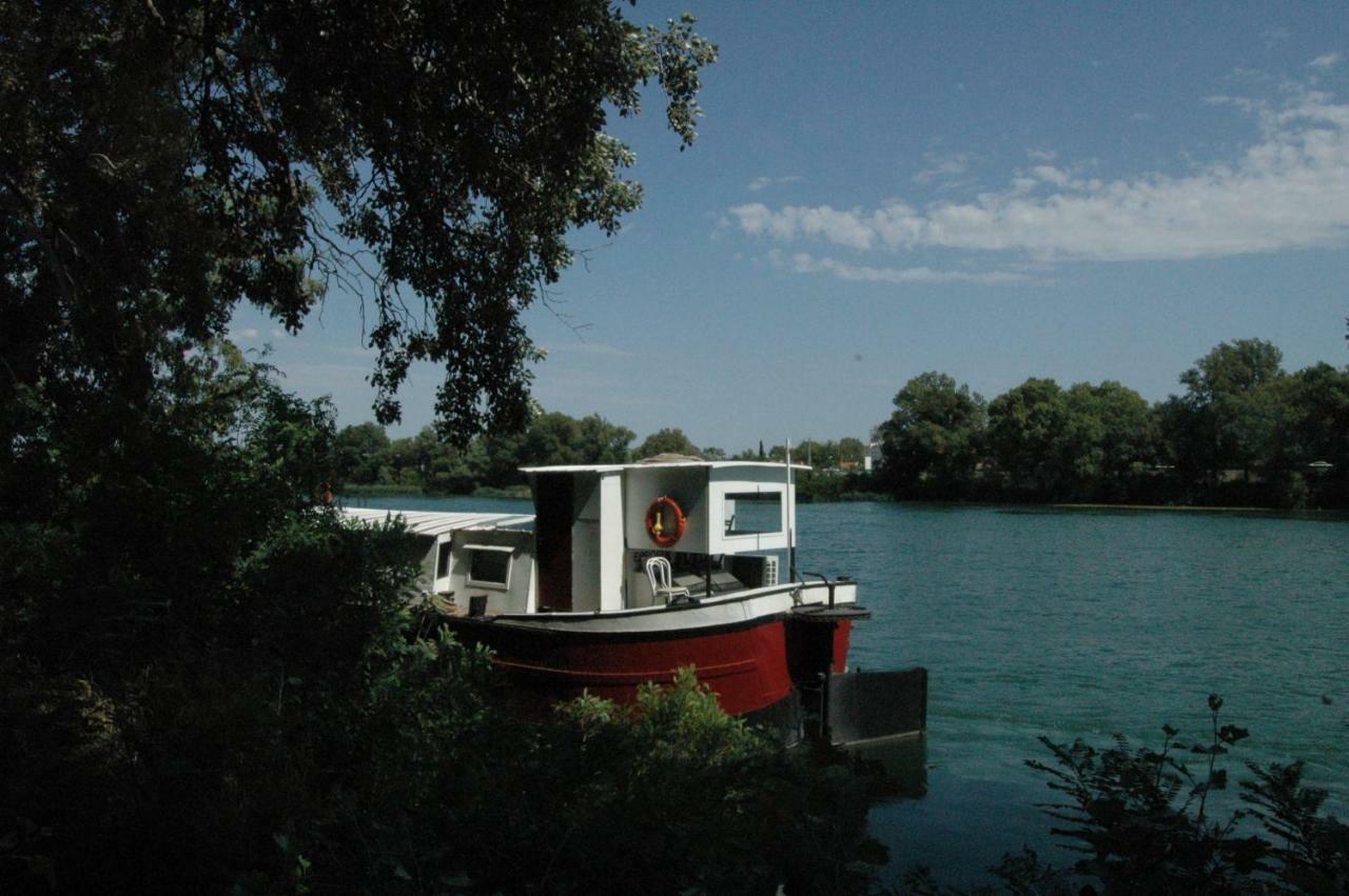 Peniche Espoir Bulle Bed and Breakfast Avignon Exteriör bild
